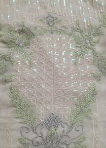 Beautiful Pakistani Suit With Net Frill Dupatta