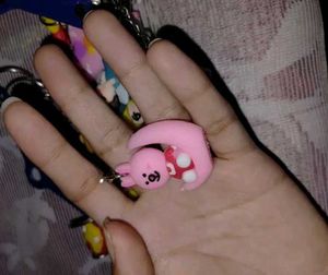 Beautiful key chains
