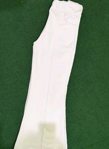 Trouser Pant.