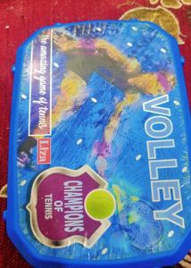 Volley Champions Game