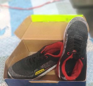 Campus Shoes