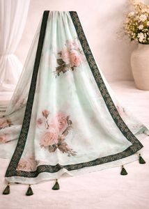 Pure Organza Floral Saree With Tussels