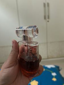 Plum Vanilla Caramello