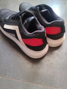 Men Sneakers