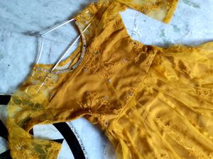 Mirror Mustard Work Gown