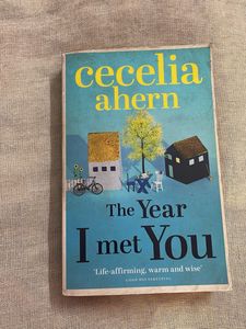 The Year I Met You