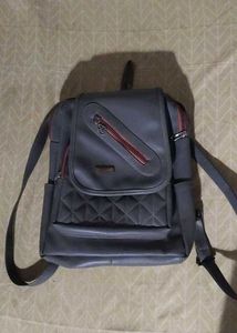 Gray Backpack
