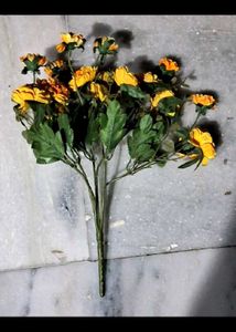 Flowers with Pot