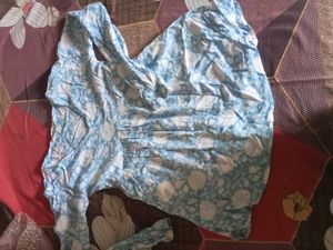 Chic Blue & White Floral Pattern Mini Dress