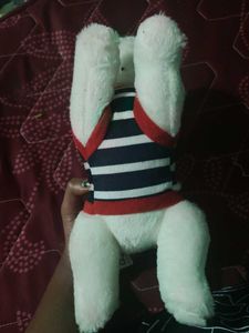 Cute Plush Dog Toy