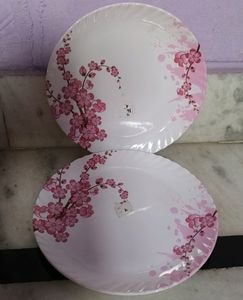 2 Beautiful melamine 🍽 Plates ..