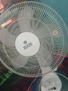 Table Fan