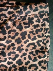 Zara Leopard Print  Pants