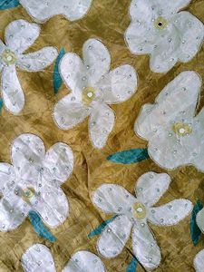 Elegant Floral zari And Real miror Suit Set