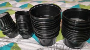 Empty Food Containers