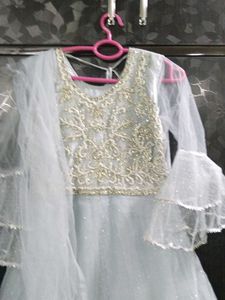 Elegant Ethnic Gown