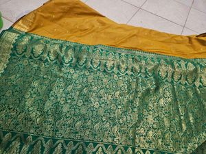Elegant Mustard Saree with Gold Border