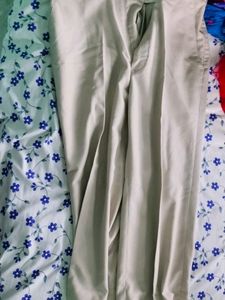 Beige Dress Pants