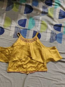 Pink &amp; Gold Ethnic skirt croptop