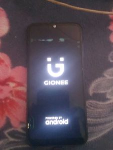 Gionee F10