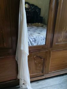 Elegant Dupatta