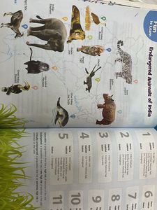 Science Magic Textbook