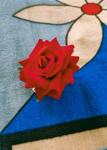 Hair Pin