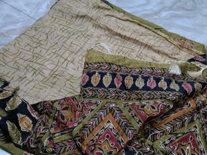 Ethnic sequence Saree