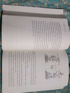 The Wicked King by Holly Black