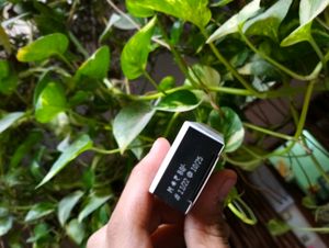 Ponds BB Cream Natural Shade