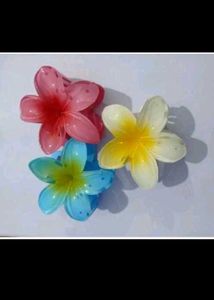 Claw Clips