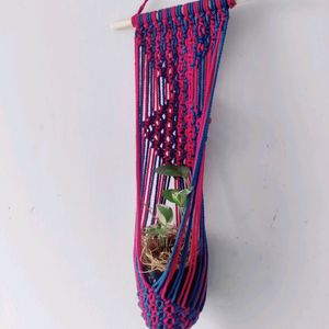 Macrame Plant Hanging
