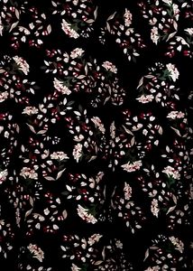Floral🌸/Cherry🍒 Printed Full-sleeve Top