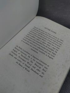 After Dark: Murakami