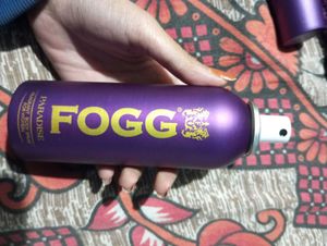 FOGG Paradise New
