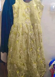 Anarkali Gown