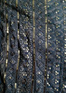 Elegant Blue chikankari Kurta Dress
