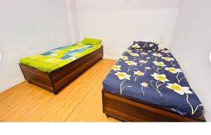 Two Stylish Single Bedsheet