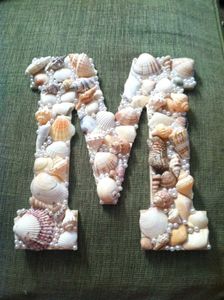 🐚🦪