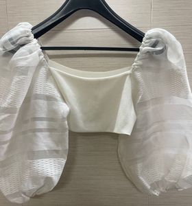 Chic Sheer Sleeve Top