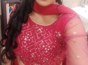 Lahnga Chunni Crop Top