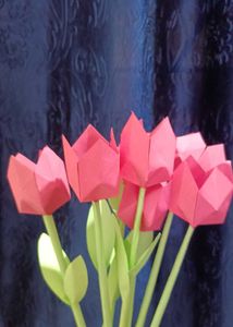 Tulip 🌷