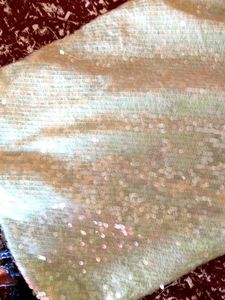 Sequin Fabric Piece
