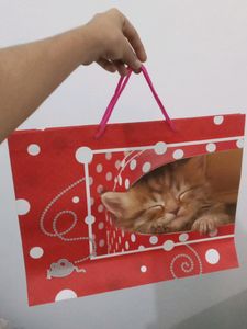 Best Bag For Girls (For Exams, Market etc.