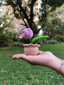 Crochet Flower Pot