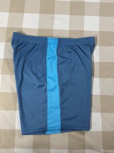 Nike Blue Athletic Shorts