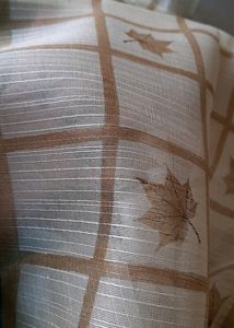 Organza Mixed Saree