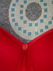Padded Brand New Bra 38/95