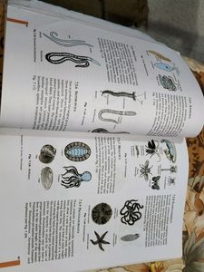 Ncert Science Textbook For Class 9