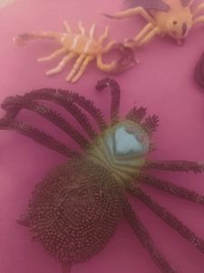Plastic Insects
